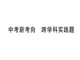 初中物理新人教版八年級上冊第三章中考新考向 跨學(xué)科實(shí)踐題作業(yè)課件2024秋季