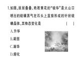 初中物理新人教版八年級上冊第三章中考新考向 跨學(xué)科實(shí)踐題作業(yè)課件2024秋季