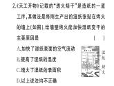 初中物理新人教版八年級上冊第三章中考新考向 跨學(xué)科實(shí)踐題作業(yè)課件2024秋季