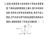 初中物理新人教版八年級上冊第三章中考新考向 跨學(xué)科實(shí)踐題作業(yè)課件2024秋季