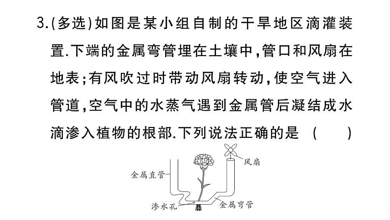 初中物理新人教版八年级上册第三章中考新考向 跨学科实践题作业课件2024秋季第4页