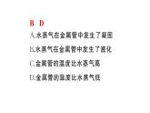 初中物理新人教版八年級上冊第三章中考新考向 跨學(xué)科實(shí)踐題作業(yè)課件2024秋季