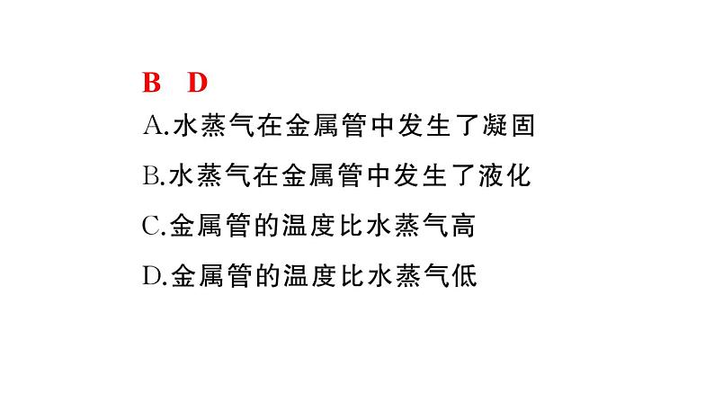 初中物理新人教版八年级上册第三章中考新考向 跨学科实践题作业课件2024秋季第5页