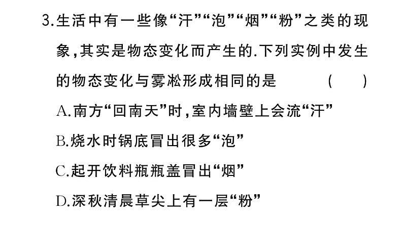 初中物理新人教版八年级上册第三章专题五 物态变化的辨析作业课件2024秋季第5页