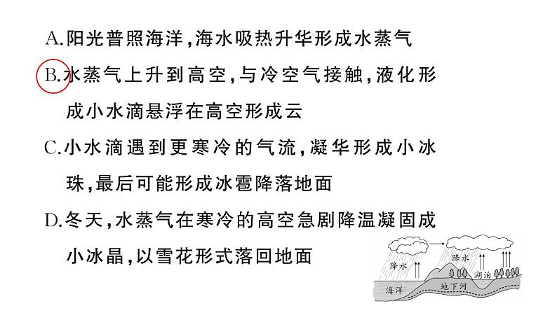 初中物理新人教版八年级上册第三章第四节 升华和凝华作业课件2024秋季第8页