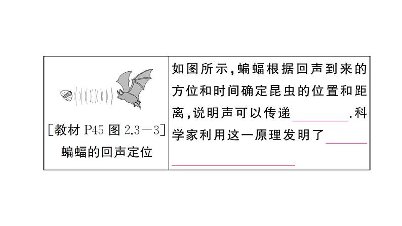 初中物理新人教版八年级上册第二章 声现象复习训练作业课件2024秋季第4页