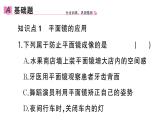 初中物理新人教版八年級(jí)上冊(cè)第四章第三節(jié)第二課時(shí) 平面鏡的應(yīng)用 球面鏡作業(yè)課件2024秋季