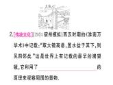 初中物理新人教版八年級(jí)上冊(cè)第四章第三節(jié)第二課時(shí) 平面鏡的應(yīng)用 球面鏡作業(yè)課件2024秋季