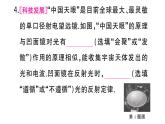 初中物理新人教版八年級(jí)上冊(cè)第四章第三節(jié)第二課時(shí) 平面鏡的應(yīng)用 球面鏡作業(yè)課件2024秋季