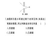 初中物理新人教版八年级上册第五章中考新考向 跨学科实践题作业课件2024秋季