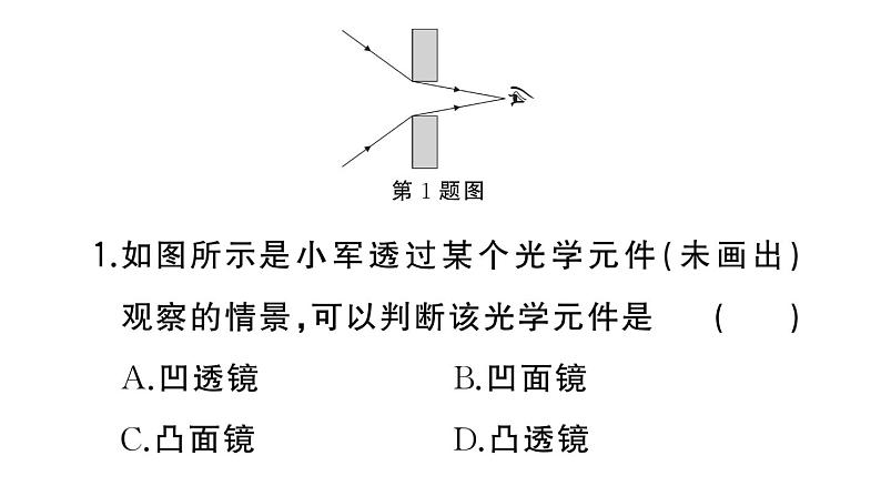 初中物理新人教版八年级上册第五章中考新考向 跨学科实践题作业课件2024秋季第2页