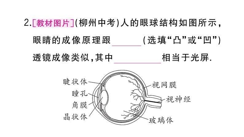 初中物理新人教版八年级上册第五章第四节 眼睛和眼镜作业课件2024秋季第3页