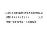 初中物理新人教版八年级上册第五章第四节 眼睛和眼镜作业课件2024秋季