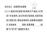 初中物理新人教版八年级上册第五章第四节 眼睛和眼镜作业课件2024秋季