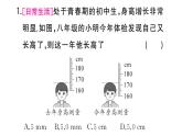 初中物理新人教版八年級上冊第一章中考新考向  跨學(xué)科實(shí)踐題作業(yè)課件2024秋季