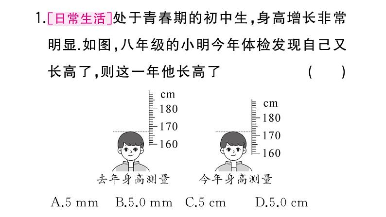 初中物理新人教版八年级上册第一章中考新考向  跨学科实践题作业课件2024秋季第2页