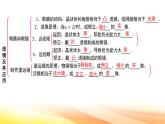 人教版（2024新版）八年級(jí)上冊(cè)物理第五章 透鏡及其應(yīng)用 章末復(fù)習(xí)課件