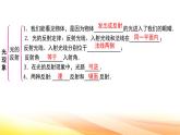 人教版（2024新版）八年级上册物理第四章光现象 章末复习课件