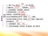 人教版（2024新版）八年级上册物理第四章光现象 章末复习课件