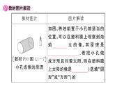初中物理新人教版八年级上册第四章 光现象复习训练作业课件2024秋季