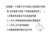 初中物理新人教版八年级上册第四章中考新考向 跨学科实践题作业课件2024秋季