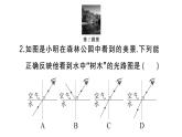 初中物理新人教版八年级上册第四章中考新考向 跨学科实践题作业课件2024秋季