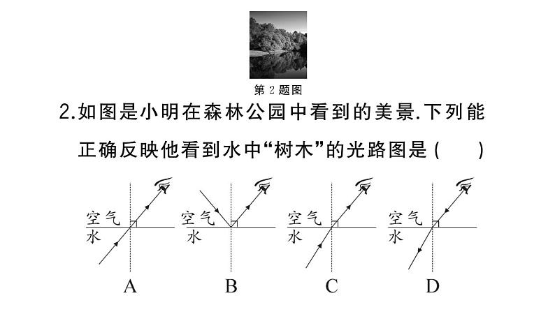 初中物理新人教版八年级上册第四章中考新考向 跨学科实践题作业课件2024秋季第3页