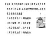 初中物理新人教版八年级上册第四章中考新考向 跨学科实践题作业课件2024秋季