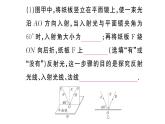 初中物理新人教版八年级上册第四章重点实验突破 （一题练透一实验）作业课件2024秋季