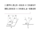 初中物理新人教版八年级上册第四章重点实验突破 （一题练透一实验）作业课件2024秋季