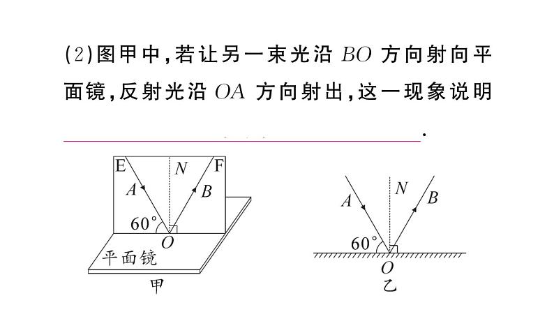 初中物理新人教版八年级上册第四章重点实验突破 （一题练透一实验）作业课件2024秋季第5页