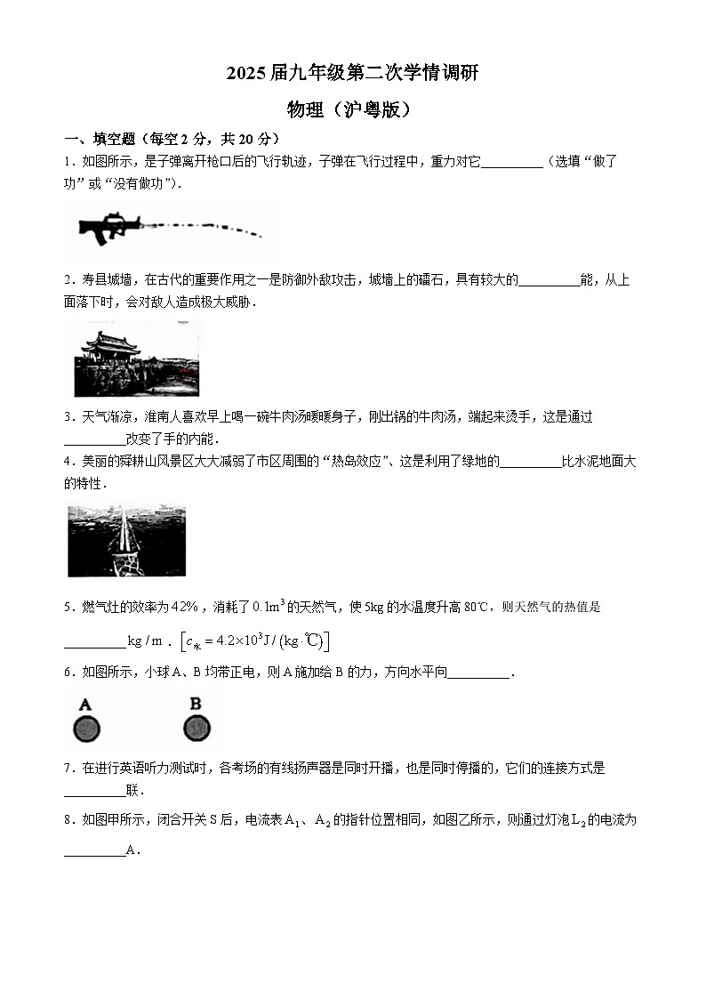 安徽省淮南市寿县2024-2025学年九年级上学期期中物理试题(无答案)第1页