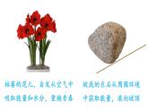 （教科版）九年级物理下册11.2节 能量转化的方向性和效率(课件）