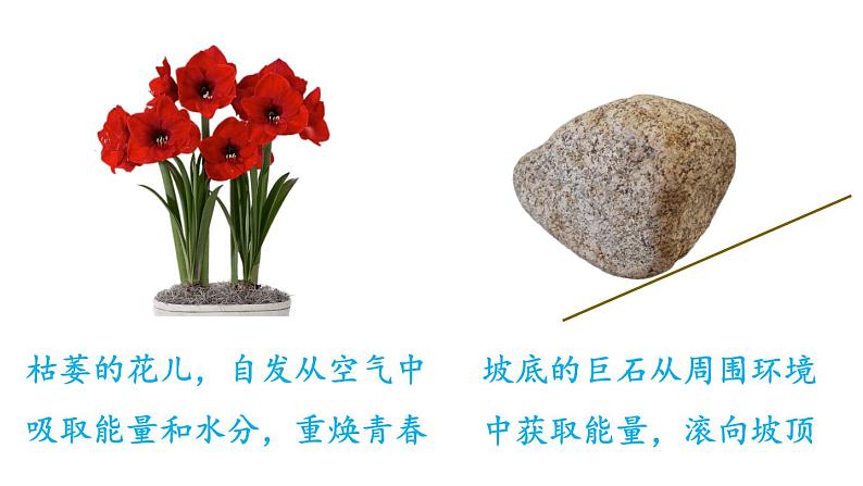 （教科版）九年级物理下册11.2节 能量转化的方向性和效率(课件）第5页