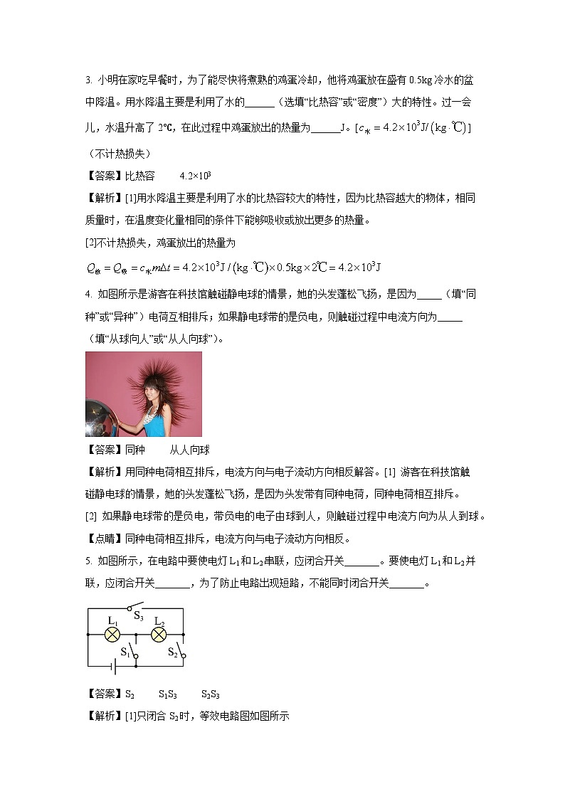 2024~2025学年河南省周口市西华县九年级(上)期中考试物理试卷(解析版)第2页