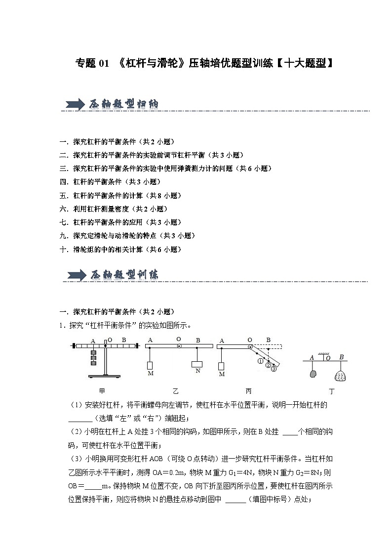 专题01  《杠杆与滑轮》压轴培优题型训练（原卷版）第1页