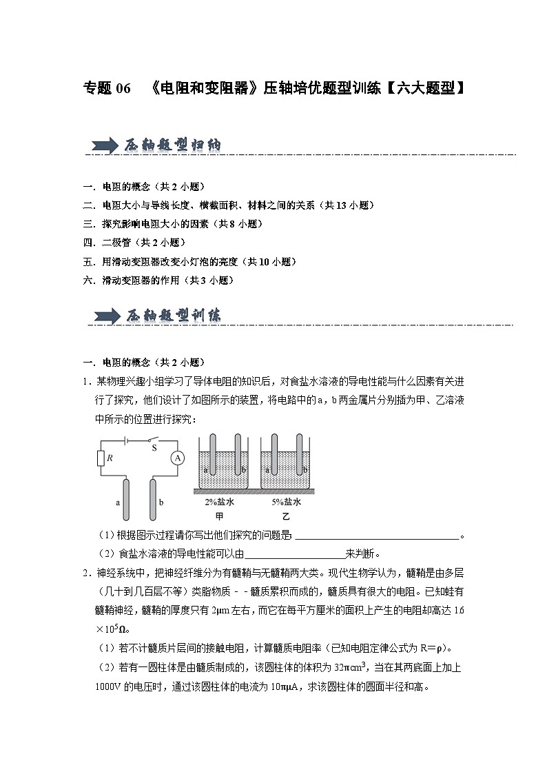 专题06  《电阻和变阻器》压轴培优题型训练 （原卷版）第1页