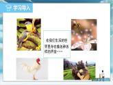 沪粤版2024八年级上册物理 2.1 声音的产生与传播 课件
