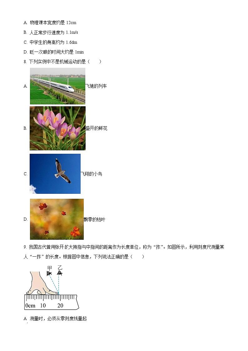 河南省安阳市滑县2024-2025学年八年级上学期10月月考物理试题（原卷版）-A4第2页