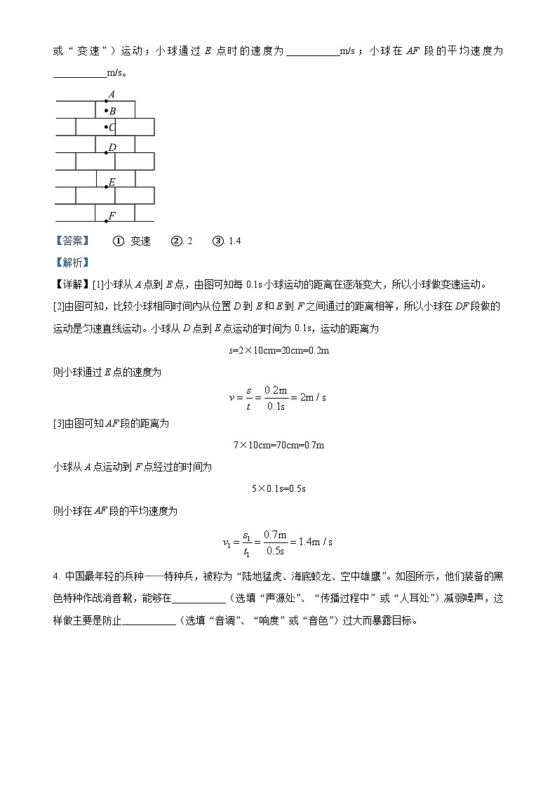 河南省实验中学2024-2025学年八年级上学期第一次月考物理试题（解析版）-A4第2页