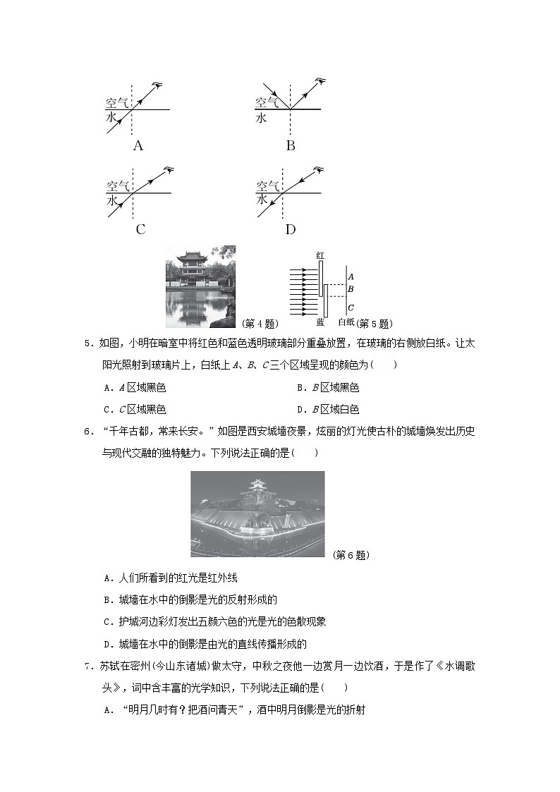 2024八年级物理上册第四章光现象学情评估试卷（附答案北师大版）第2页
