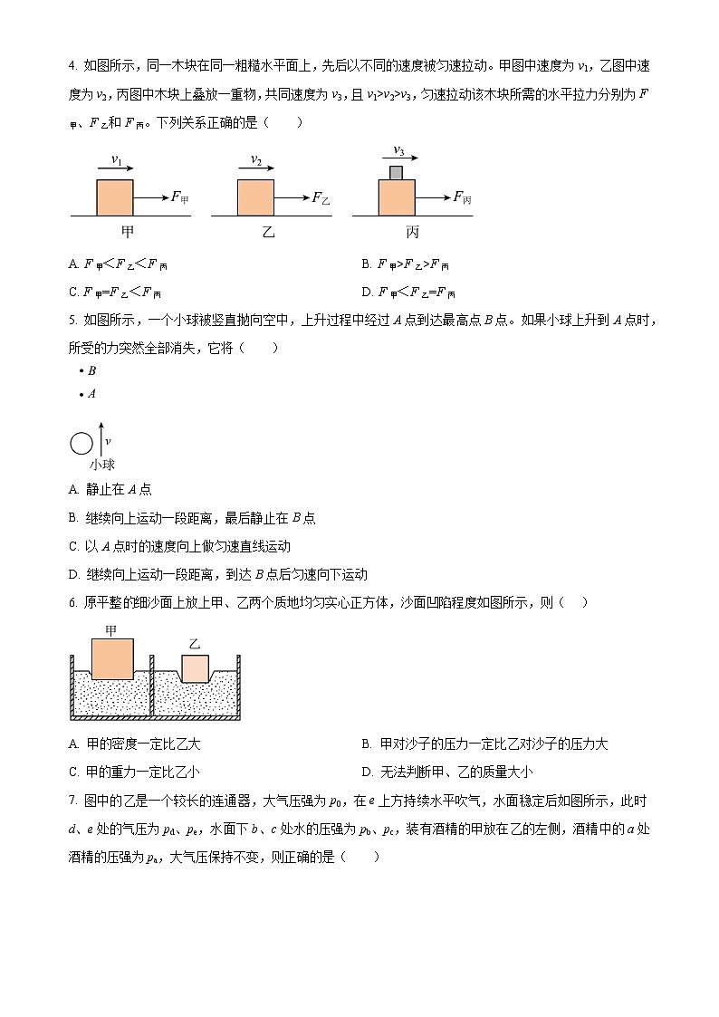 广东省广州市黄广中学2024-2025学年八年级上学期期中考试物理试题（原卷版）-A4第2页