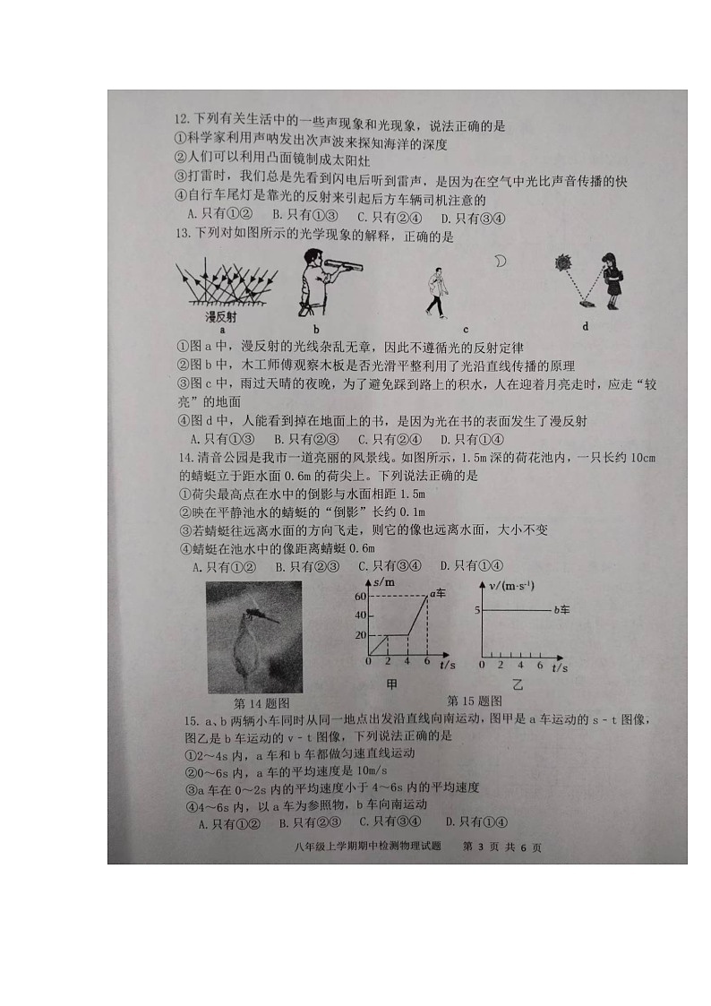 山东省泰安市新泰市2024-2025学年八年级上学期11月期中物理试题第3页