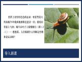 1.2 運動的描述-初中物理八年級上冊 同步教學課件+導學案+同步練習（人教版2024）