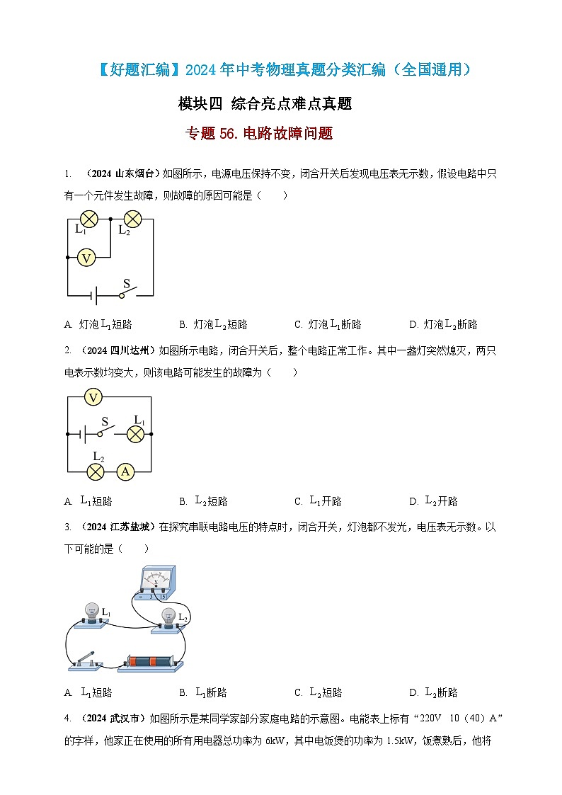模块四 应用 专题56 电路故障问题 （原卷版）第1页