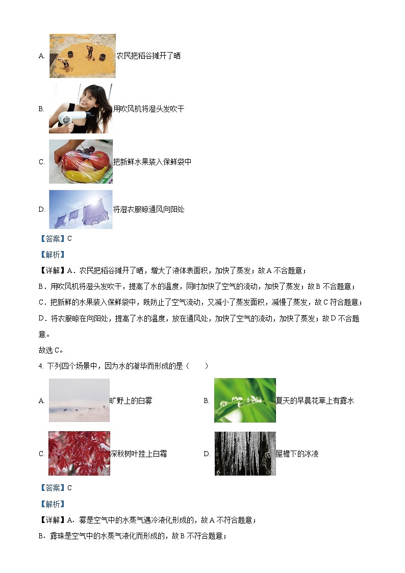 北京市八一学校2024-2025学年八年级上学期期中考试物理试题（解析版）-A4第2页