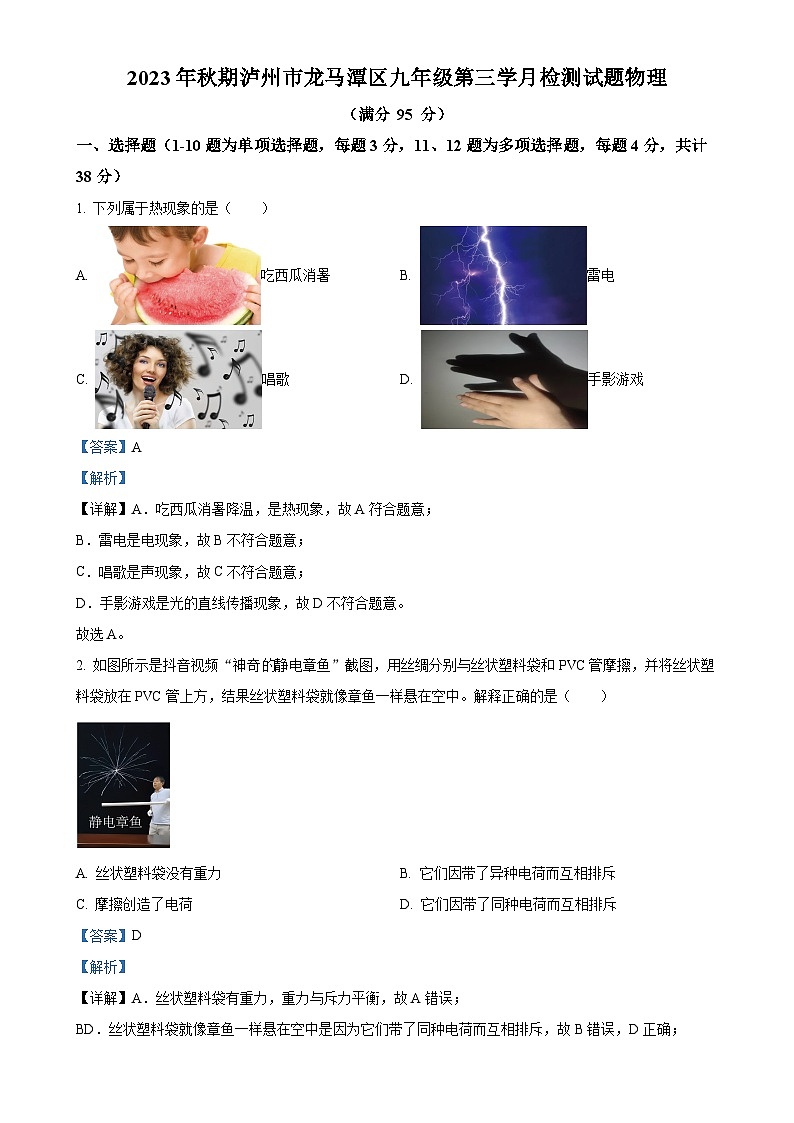 四川省泸州市龙马潭区两校联考2023-2024学年九年级上学期12月月考物理试题（解析版）-A4第1页