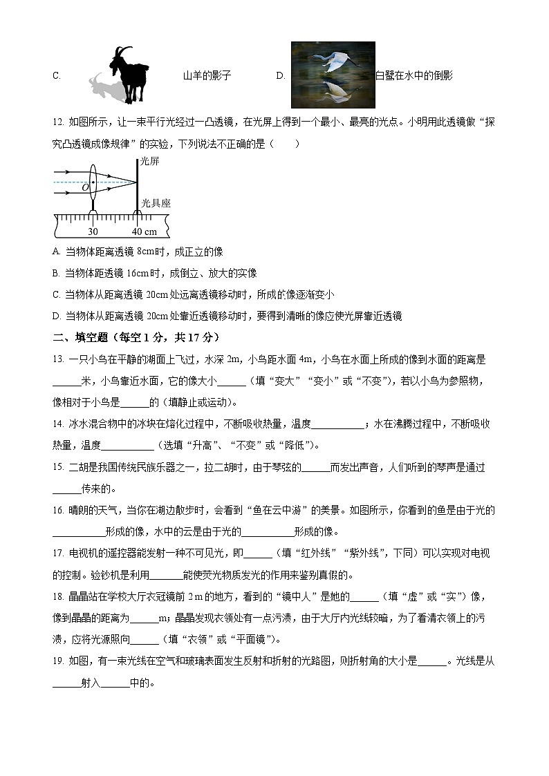 山东省齐河县表白寺镇中学2023-2024学年八年级上学期第二次月考物理试题（原卷版）-A4第3页
