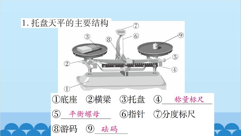 第二节  测量：物体的质量第3页