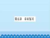 滬科版（2024）物理八年級上冊 第五章 質(zhì)量與密度習題課件